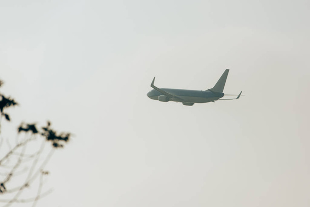Selective focus of plane in cloudy sky with plants on field - Foto, Imagen