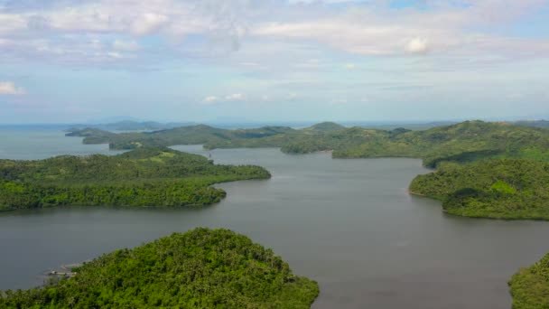 Кокосовый пальмовый лес и морские заливы. Пейзаж с зелеными холмами, вид с воздуха
. - Кадры, видео