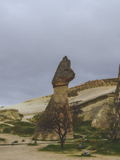 Jäniksen muotoinen kivi Turkissa Cappadocia
. - Valokuva, kuva
