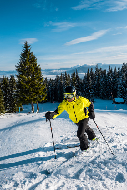 Skifahrer mit Helm auf Schnee in der Nähe von Tannen - Foto, Bild