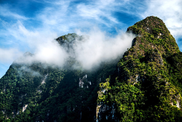 Morning Mist at Tropical Mountain - Фото, изображение