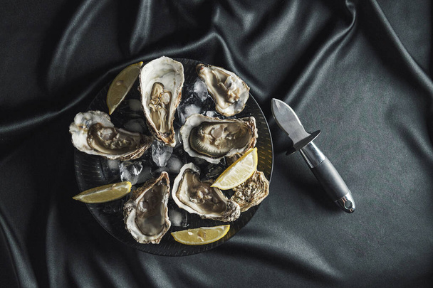 Open oysters with lemon in a black plate - Fotó, kép