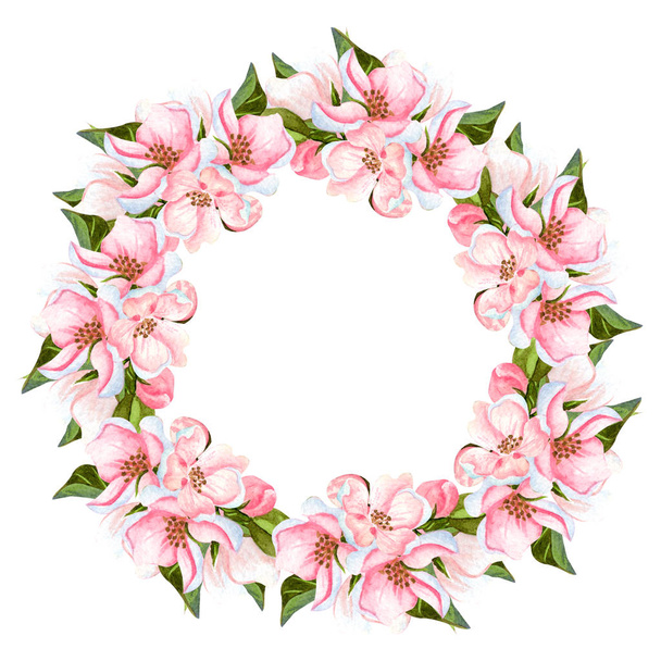 Watercolor apple blossoming tree wreath isolated on white. Hand drawn floral frame with flowers, leaves and buds. Perfect for invitations, design and wedding cards. - Zdjęcie, obraz
