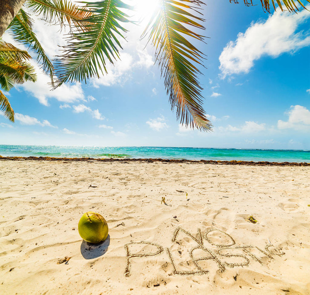 美しい熱帯のビーチでココナッツによって書かれたプラスチックはありません - 写真・画像