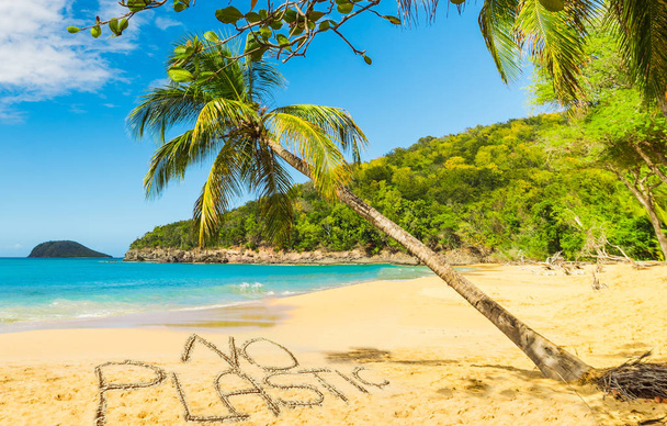 Nenhum plástico escrito em uma bela praia tropical sob palmeira
 - Foto, Imagem