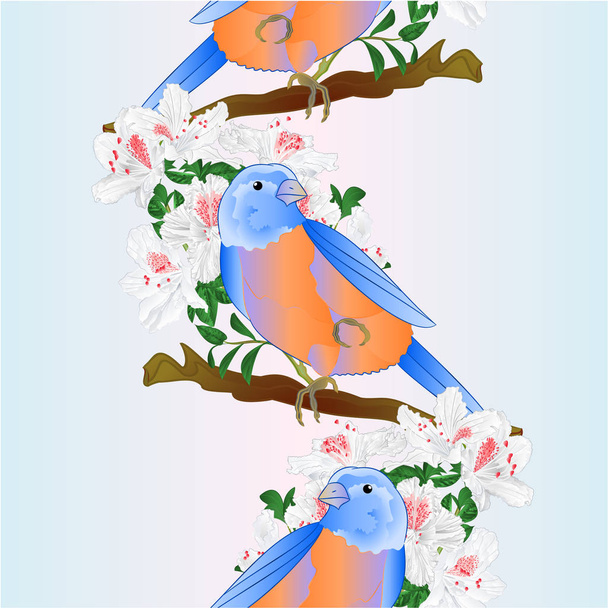 Frontera vertical sin costuras fondo pequeño songbirdon Bluebird tordo y blanco rododendro primavera fondo vintage vector ilustración editable mano dibujar
 - Vector, Imagen