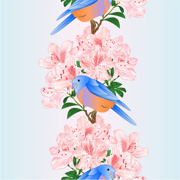 Vertical border seamless background small songbirdon Bluebird  thrush and light pink rhododendron spring background vintage vector illustration editable hand draw - Vector, Image