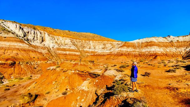 Senior Woman Hiking through the Red Sandstone Mountains on the Trail to the Toadstools Hoodoos in Grand Staircase-Escalante Monument in Utah, United States - Fotografie, Obrázek