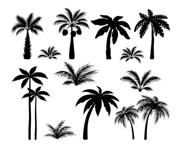 シルエットヤシの木。熱帯黒ジャングルの植物を設定します。黒い葉とココナッツジャングルの木 - ベクター画像