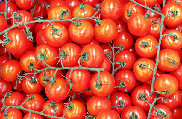 Red tomatoes on a branch. Background from ripe tomatoes. - Photo, Image
