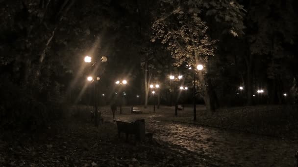 nacht park in de stad met silhouetten. time-lapse - Video