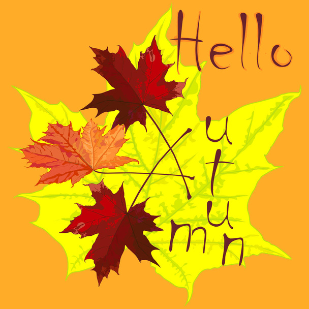 The drawing with maple leaves and an inscription, autumn, patter - Вектор,изображение