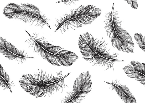 Feathers set hand drawn on white background - Vektor, kép