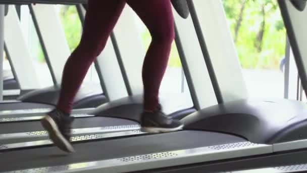 Приваблива дівчина біжить на біговій доріжці в спортзалі
 - Кадри, відео