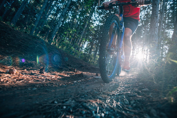 Biker riding his bike on a dirt trail through the woods, Xtreme  - 写真・画像