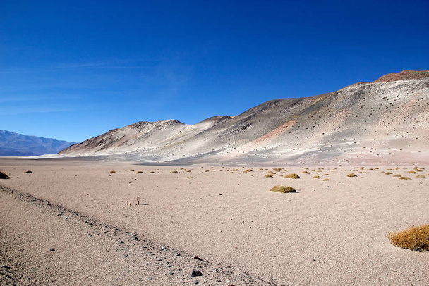 Landscape in the Puna de Atacama, Argentina - Photo, Image