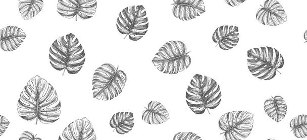 Tropical leaves hand drawn - Vector, Image