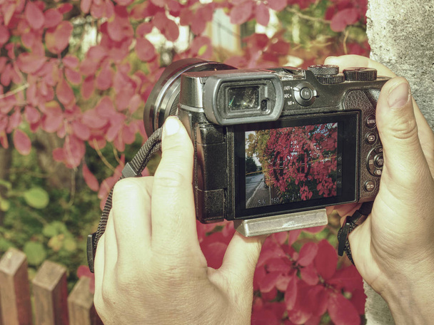 Artista che utilizza una piccola fotocamera mirrorless con obiettivo zoom ampio
 - Foto, immagini