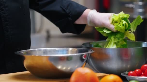 Κουζίνα - σεφ κάνει μια σαλάτα - βάζοντας μια σαλάτα φύλλα στο πιάτο - Πλάνα, βίντεο