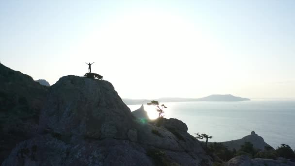 Prachtige drone schot vanuit de lucht, jonge vrouw net bereikt de top van de berg. Avontuur Vrouw met armen opgeheven op de top van de berg kijken naar zonsondergang uitzicht over zee genieten van schilderachtige natuur landschap. Wandelmeisje - Video