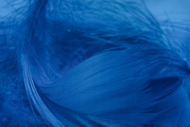 美しい青の傾向羽のパターンのテクスチャの背景を閉じます。マクロ写真ビュー.  - 写真・画像
