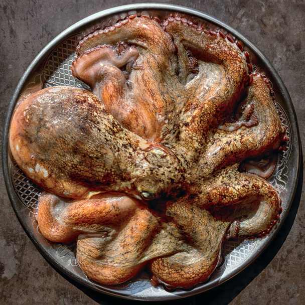 Hele rauwe octopus op een zwarte stenen tafel. Concept - gezond voedsel, verse zeevruchten. - Foto, afbeelding