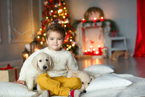 Cute baby with a white golden labrador on the background of Christmas decorations - Foto, immagini
