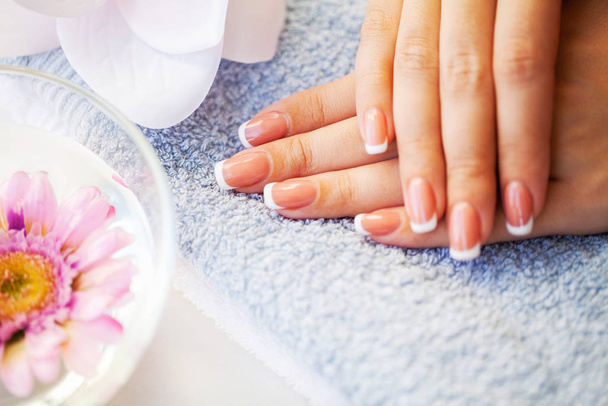 Nails care. Beautiful womans nails with french manicure, in beauty studio - Fotoğraf, Görsel