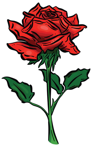 Abstract Cartoon Design Illustration of Roses Flowers and Stem - Vektor, Bild