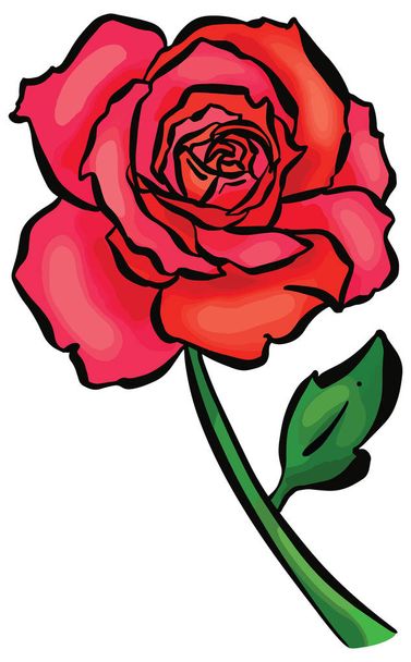 Abstract Cartoon Design Illustration of Roses Flowers and Stem - Vector, Image
