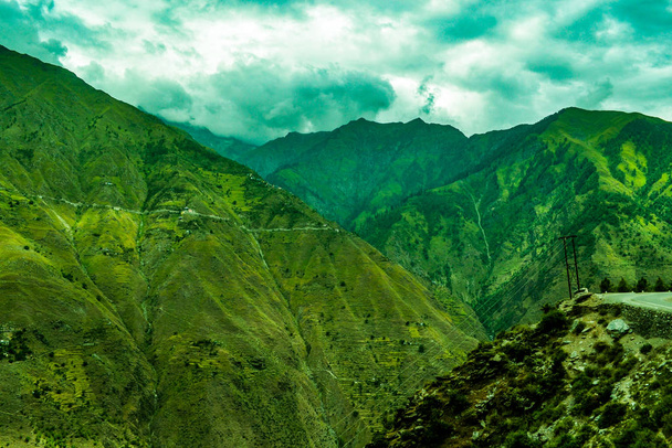 Zelený krajinný les na túře v himálajských horách, Himachel Pradesh, Indie - Fotografie, Obrázek