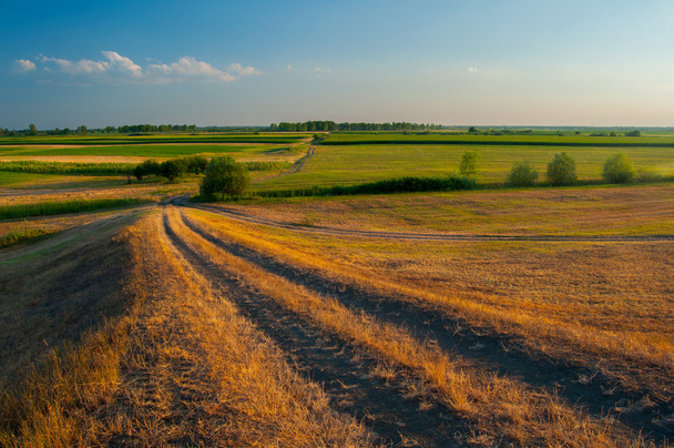 landbouwgronden en wegen - Foto, afbeelding