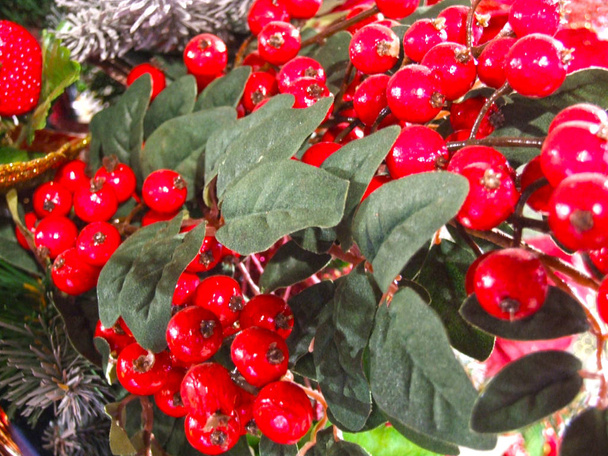 Décoration d'arbre de Noël : baies de houx rouges et juteuses
 - Photo, image