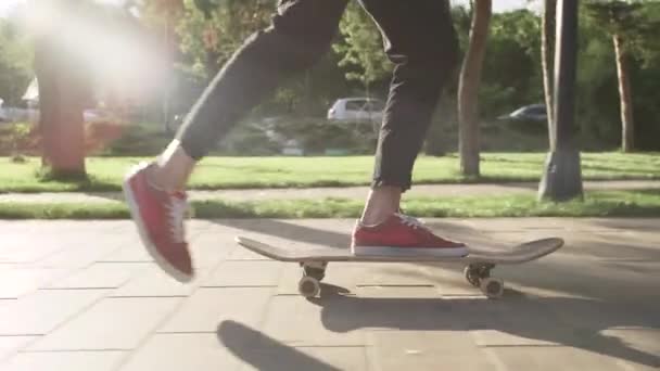 L'uomo inizia a cavalcare uno skateboard nel parco
 - Filmati, video