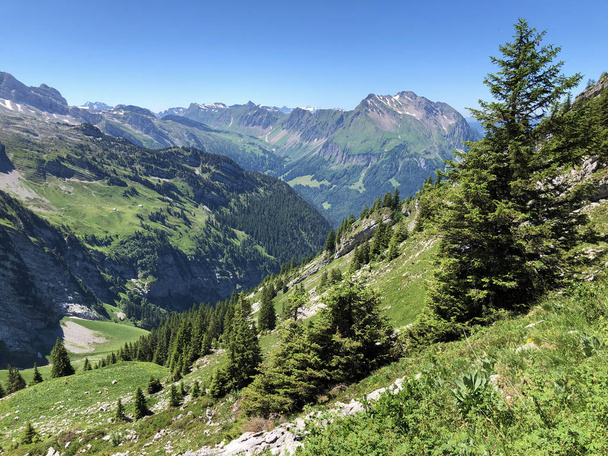 Florestas perenes ou coníferas no vale de Wagital ou Waegital e junto ao lago alpino Wagitalersee (Waegitalersee), Innerthal - Cantão de Schwyz, Suíça
 - Foto, Imagem