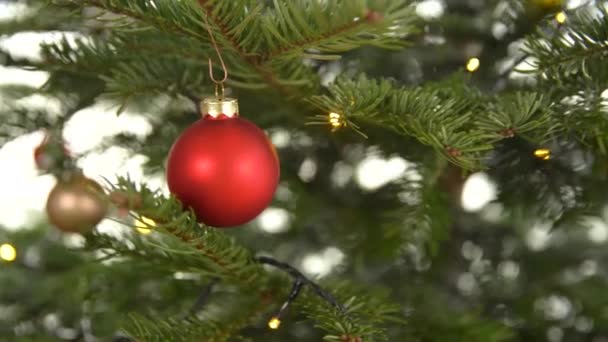 red glass christmas balls on tree - Filmagem, Vídeo