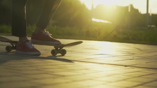 Skateboarder staand met skateboard in skatepark met zonsondergang op achtergrond - Video