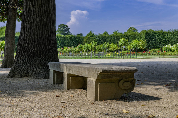 夏の公園の石のベンチ - 写真・画像