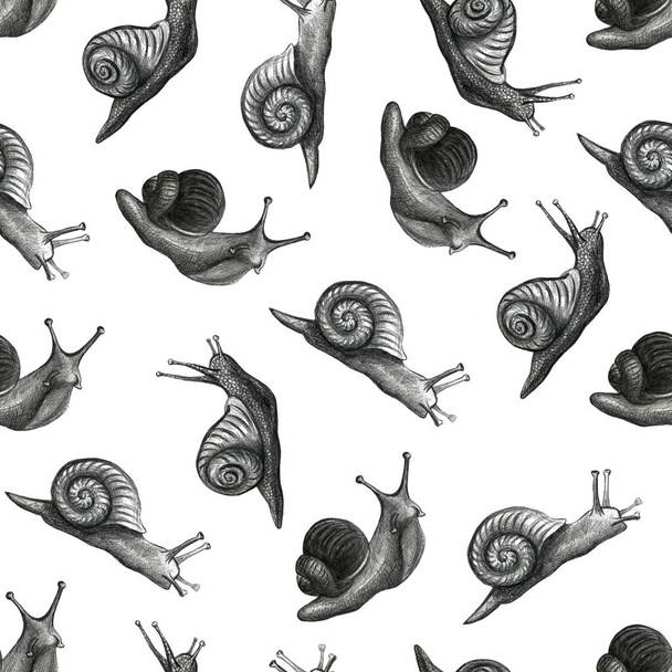 Cute snail cartoon pattern of funny ethnic drawings. Drawing by hand, pencil. - Foto, imagen