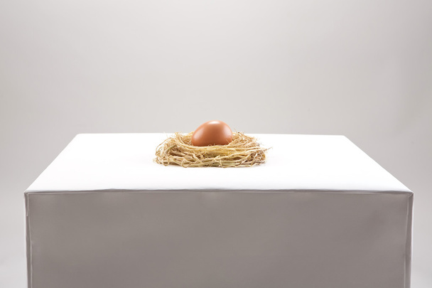 Egg - Photo, Image