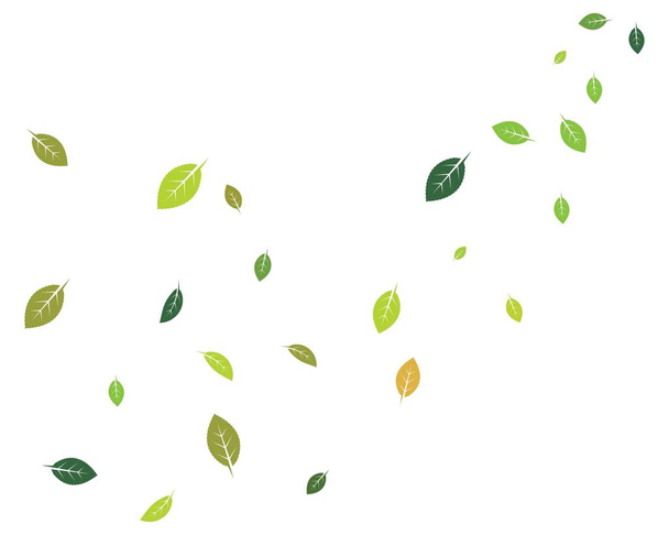 feuilles tombées et arc vecteur de vent illustration design
 - Vecteur, image