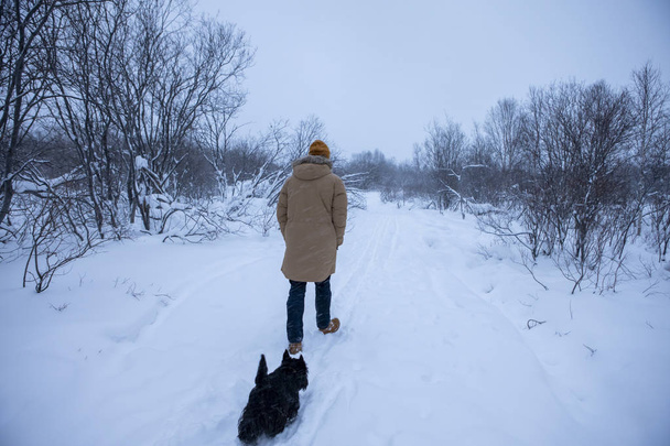 Mężczyzna spaceruje z psem w zimowym lesie. - Zdjęcie, obraz