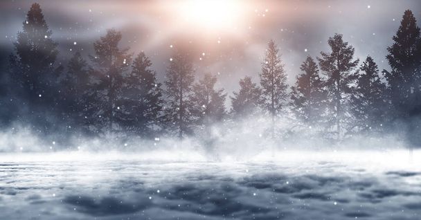 Dark winter forest background at night. Snow, fog, moonlight. Dark neon night background in the forest with moonlight. Neon figure in the center. Night view, magic. - Фото, зображення