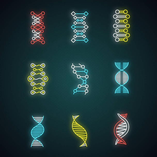 DNA kaksinkertainen helix neon valo kuvakkeet asetettu. Deoksiribonukleiininen, nukleiinihapporakenne. Kromosomi. Molekyylibiologiaa. Geneettinen koodi. Genomia. Genetiikka. Lääkettä. Hehkuvia merkkejä. Yksittäiset vektorikuvat
 - Vektori, kuva