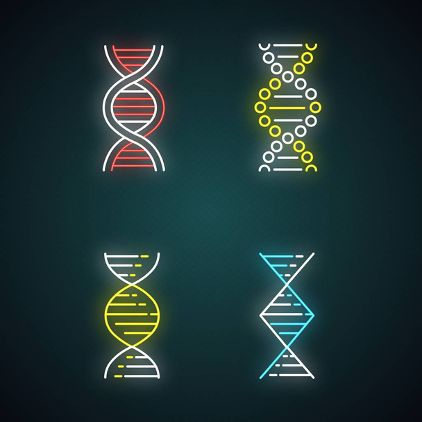 DNA spiral strands neon light icons set. Deoxyribonucleic, nucleic acid helix. Spiraling strands. Chromosome. Molecular biology. Genetic code. Genetics. Glowing signs. Vector isolated illustrations - Vector, Image
