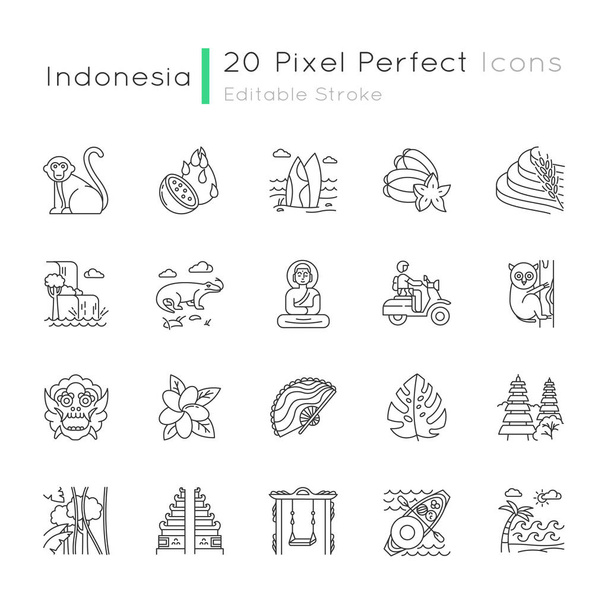 Indonesia linear icons set. Tropical country animals, plants. Indonesian islands. Exotic traditions. Thin line contour symbols. Isolated vector outline illustrations. Editable stroke. Perfect pixel - Vector, Image
