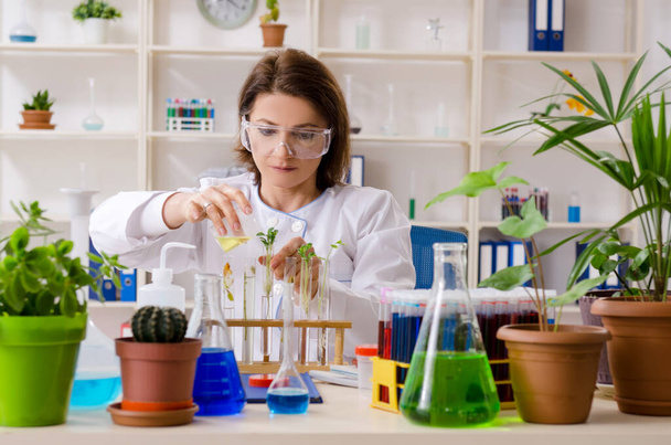 Old female biotechnology chemist working in the lab - Foto, imagen