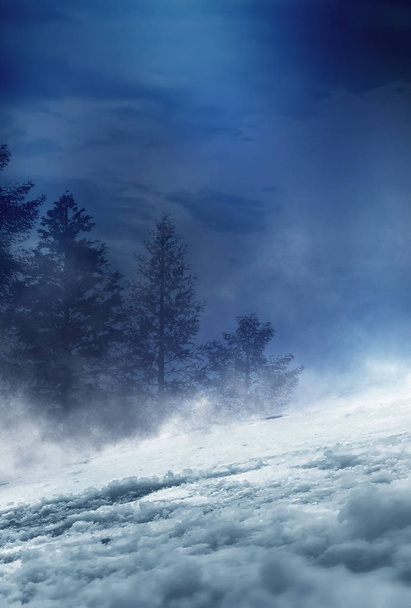 Winter abstract landscape. Sunlight in the winter forest.  - Фото, зображення