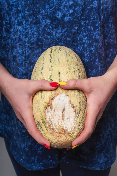 Spoiled melon in the hands of a woman. A melon with a dent and mold in the girl's hands. Improper storage of melons. - Foto, Bild