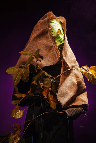 La col en lugar de una cabeza es una imagen espeluznante de un espantapájaros en Halloween. Imagen para Halloween espantapájaros jardín de miedo. Vestido de lujo para Halloween carnaval de máscaras
 - Foto, imagen
